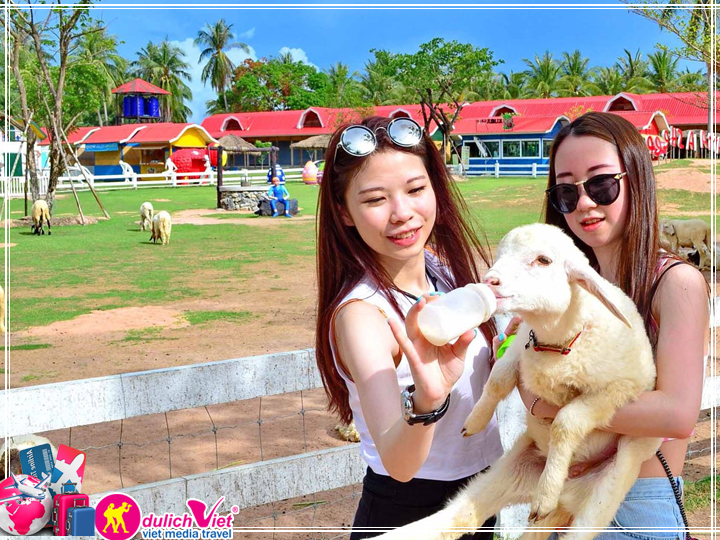 Vé tham quan nông trại cừu Pattaya (Sheep Farm)
